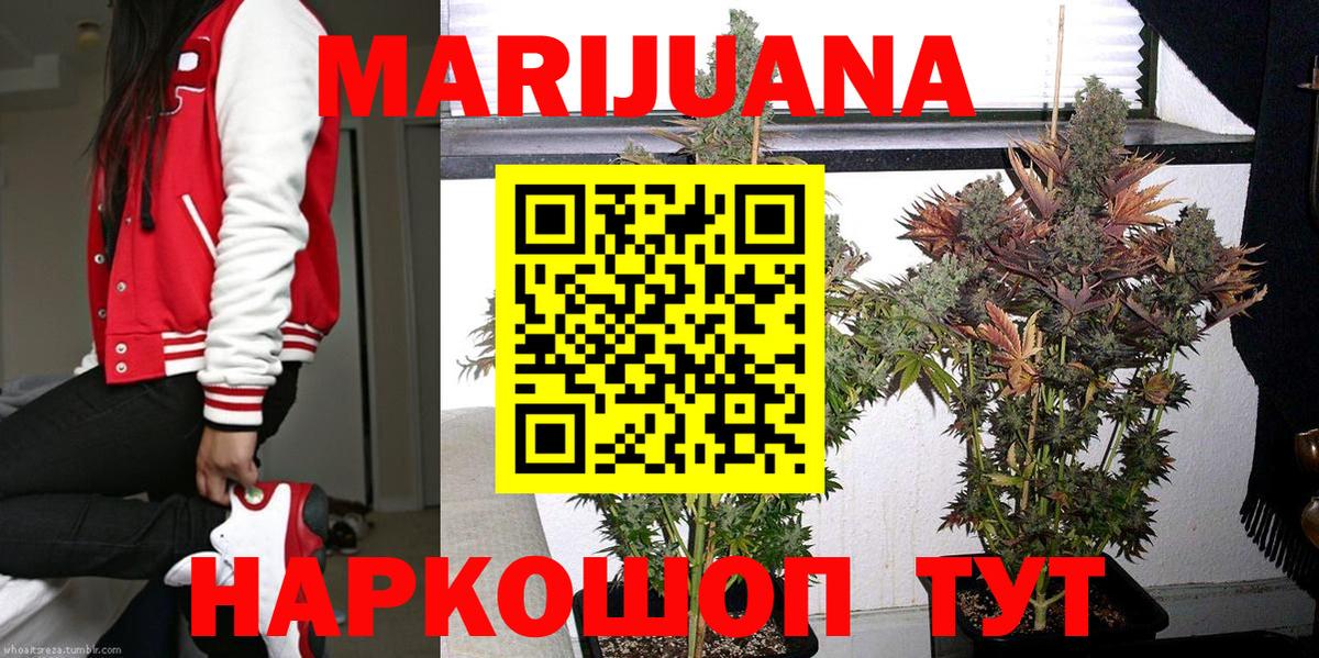 Бошки марихуана план  Конопля гибрид  Новосибирск  Марихуана сатива  Вход с VPN 